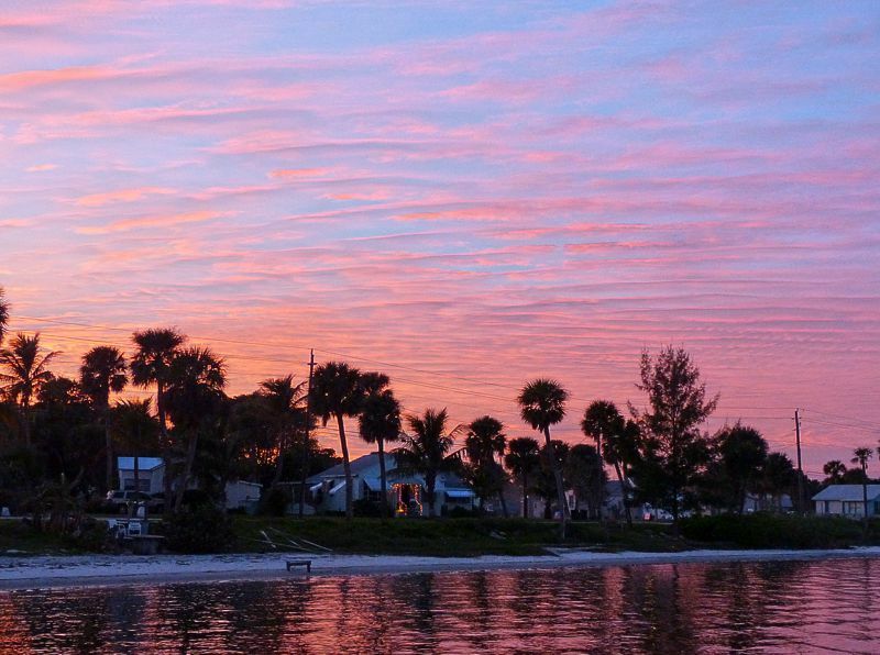 Click to See Next Image